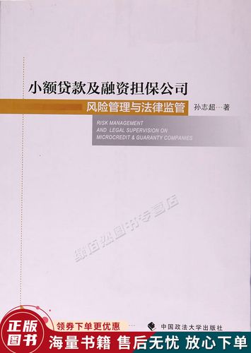 小額貸款及融資擔保公司風(fēng)險管理與法律監(jiān)管