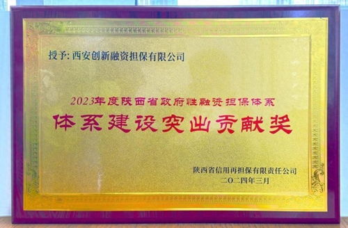 西安高新一企業(yè)獲陜西省政府性融資擔(dān)保體系 體系建設(shè)突出貢獻(xiàn)獎(jiǎng)