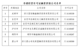 四川吊銷6家融資擔(dān)保公司經(jīng)營(yíng)許可證 9家公司被責(zé)令停業(yè)整頓