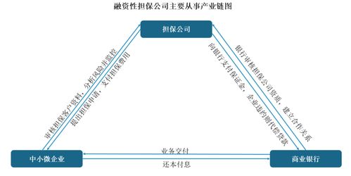 中國融資性擔(dān)保行業(yè)發(fā)展趨勢分析與投資前景預(yù)測報告 2022 2029年