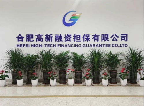 500萬元 合肥首筆 保e貸 落地高新區(qū)
